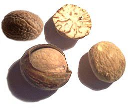 جوزة الطيب