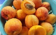 وصفة مربى المشمش من مطبخ حواء