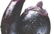 وصفة صلصة الباذنجان من مطبخ حواء
